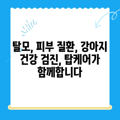 일산/고양/화정동 탑케어| 강아지 알로페시아 피부 검사 & T4 확인 | 알로페시아, 탈모, 피부 질환, 강아지 건강 검진