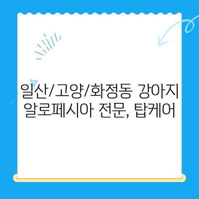 일산/고양/화정동 탑케어| 강아지 알로페시아 피부 검사 & T4 확인 | 알로페시아, 탈모, 피부 질환, 강아지 건강 검진