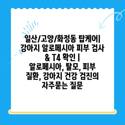 일산/고양/화정동 탑케어| 강아지 알로페시아 피부 검사 & T4 확인 | 알로페시아, 탈모, 피부 질환, 강아지 건강 검진