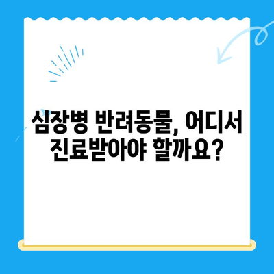 심장병 반려동물, 믿을 수 있는 병원 찾기| 지역별 추천 & 상세 정보 | 심장병, 반려동물, 동물병원, 진료, 치료