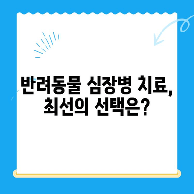 심장병 반려동물, 믿을 수 있는 병원 찾기| 지역별 추천 & 상세 정보 | 심장병, 반려동물, 동물병원, 진료, 치료