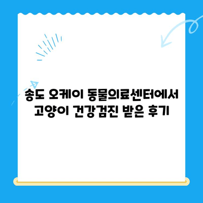 송도 오케이 동물의료센터 고양이 건강검진 후 회복실 안정기| 상세 후기 | 24시 동물병원, 고양이 건강검진, 회복 과정