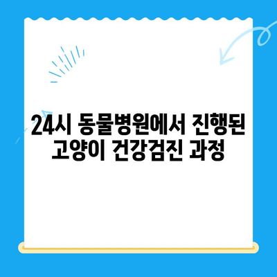 송도 오케이 동물의료센터 고양이 건강검진 후 회복실 안정기| 상세 후기 | 24시 동물병원, 고양이 건강검진, 회복 과정