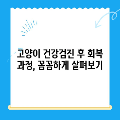 송도 오케이 동물의료센터 고양이 건강검진 후 회복실 안정기| 상세 후기 | 24시 동물병원, 고양이 건강검진, 회복 과정