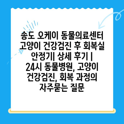 송도 오케이 동물의료센터 고양이 건강검진 후 회복실 안정기| 상세 후기 | 24시 동물병원, 고양이 건강검진, 회복 과정