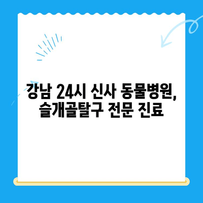 24시 신사 동물병원| 슬개골탈구 전문 진료 | 강남, 반려동물, 수술, 재활, 예방