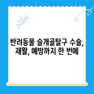 24시 신사 동물병원| 슬개골탈구 전문 진료 | 강남, 반려동물, 수술, 재활, 예방