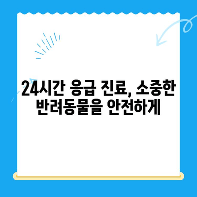 강남 24시 동물병원 "예은동물의료센터"| 의료진 초빙과 CT 보유 | 24시간 응급진료, 최첨단 장비, 숙련된 의료진