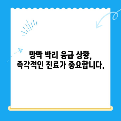 망막 박리, 24시간 병원에서 안전하게 치료하세요| 고품질 수술 및 빠른 회복 | 망막 박리, 응급 수술, 안과 전문의, 24시간 진료