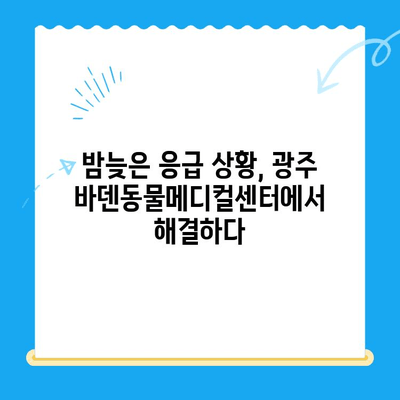 광주 24시 동물병원, 바덴동물메디컬센터 체험 후기| 밤샘 진료 경험 공유 | 광주 동물병원, 24시 진료, 응급 진료, 바덴동물메디컬센터, 동물병원 후기