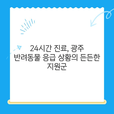 광주 24시 동물병원, 바덴동물메디컬센터 체험 후기| 밤샘 진료 경험 공유 | 광주 동물병원, 24시 진료, 응급 진료, 바덴동물메디컬센터, 동물병원 후기