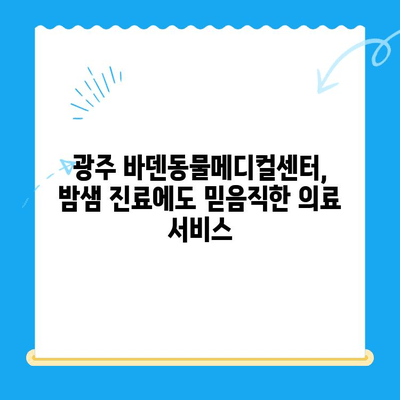 광주 24시 동물병원, 바덴동물메디컬센터 체험 후기| 밤샘 진료 경험 공유 | 광주 동물병원, 24시 진료, 응급 진료, 바덴동물메디컬센터, 동물병원 후기