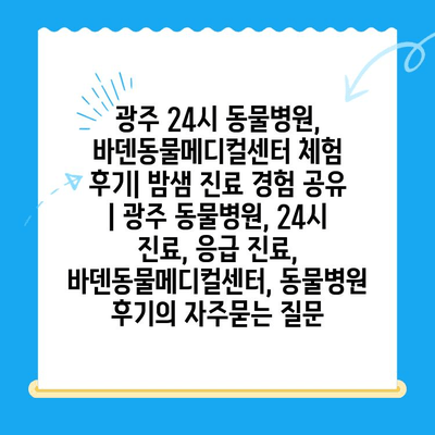 광주 24시 동물병원, 바덴동물메디컬센터 체험 후기| 밤샘 진료 경험 공유 | 광주 동물병원, 24시 진료, 응급 진료, 바덴동물메디컬센터, 동물병원 후기