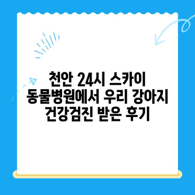 천안 24시 스카이 동물메디컬센터 강아지 건강검진 후기| 솔직한 경험 공유 | 건강검진, 가격, 후기, 추천