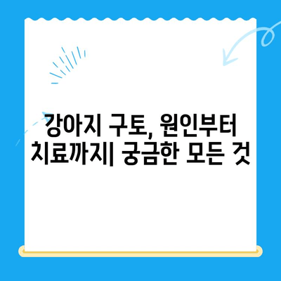 강아지 구토 원인과 치료비| 24시간 동물병원 MRI 검사 후기 | 강아지 구토, 응급 상황, 동물병원 선택, 치료 비용