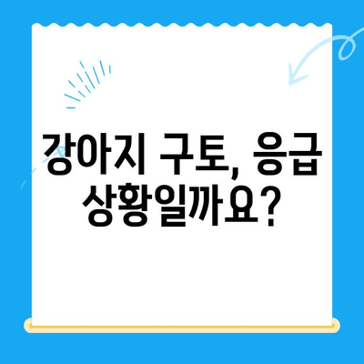 강아지 구토 원인과 치료비| 24시간 동물병원 MRI 검사 후기 | 강아지 구토, 응급 상황, 동물병원 선택, 치료 비용