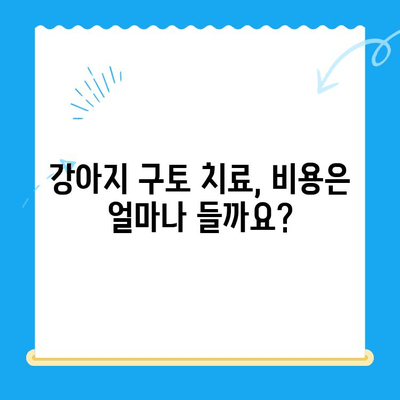 강아지 구토 원인과 치료비| 24시간 동물병원 MRI 검사 후기 | 강아지 구토, 응급 상황, 동물병원 선택, 치료 비용