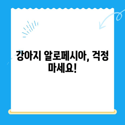 강아지 알로페시아 진단, 화정동 탑케어 동물병원에서 해결하세요! | 강아지 털 빠짐, 알로페시아, 24시 동물병원, 화정동