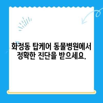 강아지 알로페시아 진단, 화정동 탑케어 동물병원에서 해결하세요! | 강아지 털 빠짐, 알로페시아, 24시 동물병원, 화정동