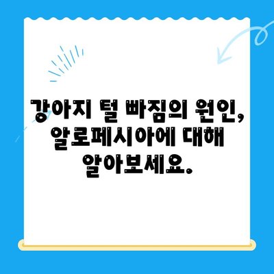 강아지 알로페시아 진단, 화정동 탑케어 동물병원에서 해결하세요! | 강아지 털 빠짐, 알로페시아, 24시 동물병원, 화정동