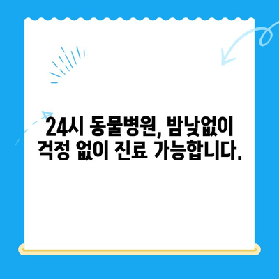 강아지 알로페시아 진단, 화정동 탑케어 동물병원에서 해결하세요! | 강아지 털 빠짐, 알로페시아, 24시 동물병원, 화정동