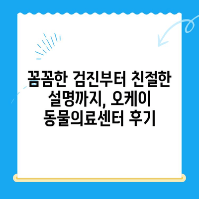 오케이 동물의료센터 고양이 건강검진 후기| 상세 내용 및 꿀팁 | 고양이 건강, 검진, 오케이 동물의료센터, 후기