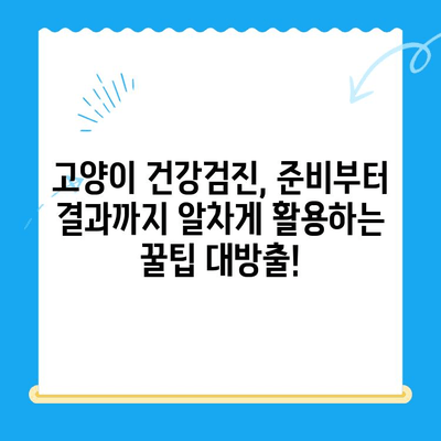 오케이 동물의료센터 고양이 건강검진 후기| 상세 내용 및 꿀팁 | 고양이 건강, 검진, 오케이 동물의료센터, 후기