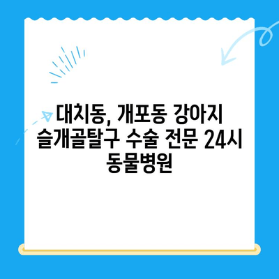 대치동, 개포동 강아지 슬개골탈구 수술 전문 24시 동물병원 | 슬개골탈구 증상, 수술, 재활, 비용 정보