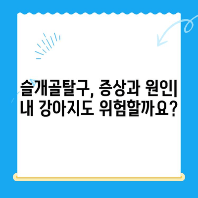 대치동, 개포동 강아지 슬개골탈구 수술 전문 24시 동물병원 | 슬개골탈구 증상, 수술, 재활, 비용 정보