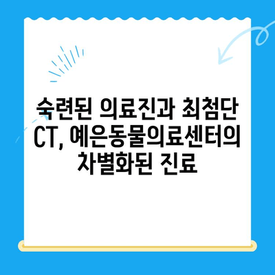 강남 24시간 예은동물의료센터| 의료진 초빙 & 최첨단 CT 도입 후기 | 동물병원, 24시 진료, 의료 장비, 진료 후기