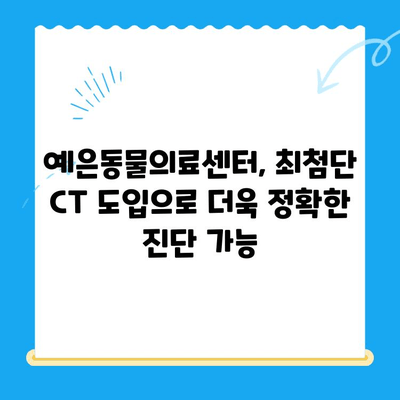 강남 24시간 예은동물의료센터| 의료진 초빙 & 최첨단 CT 도입 후기 | 동물병원, 24시 진료, 의료 장비, 진료 후기