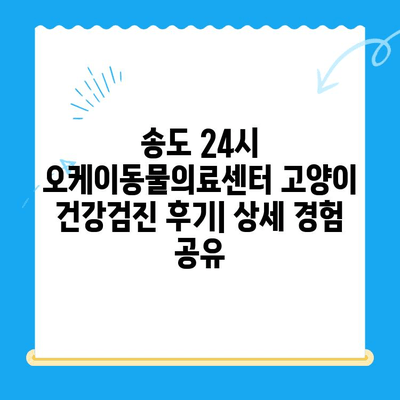 송도 24시 오케이동물의료센터 고양이 건강검진 후기| 상세 경험 공유 | 고양이 건강, 건강검진, 동물병원
