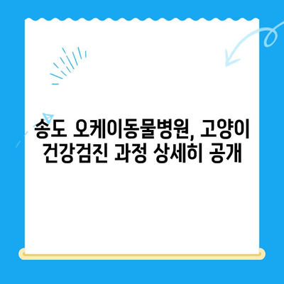 송도 24시 오케이동물의료센터 고양이 건강검진 후기| 상세 경험 공유 | 고양이 건강, 건강검진, 동물병원
