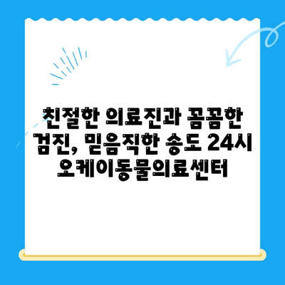 송도 24시 오케이동물의료센터 고양이 건강검진 후기| 상세 경험 공유 | 고양이 건강, 건강검진, 동물병원