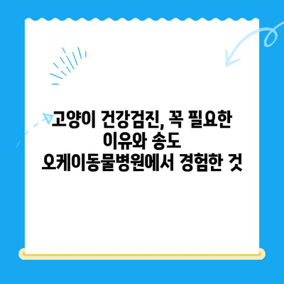 송도 24시 오케이동물의료센터 고양이 건강검진 후기| 상세 경험 공유 | 고양이 건강, 건강검진, 동물병원