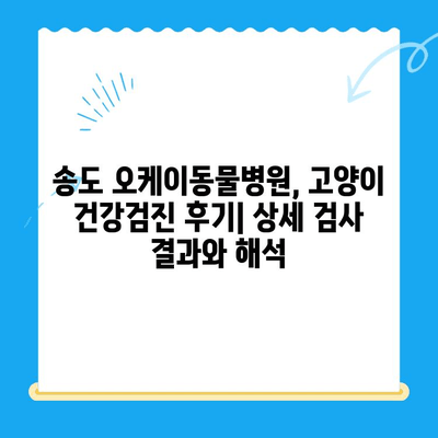 송도 24시 오케이동물의료센터 고양이 건강검진 후기| 상세 경험 공유 | 고양이 건강, 건강검진, 동물병원