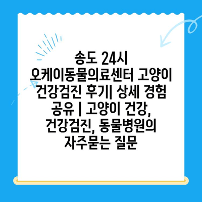 송도 24시 오케이동물의료센터 고양이 건강검진 후기| 상세 경험 공유 | 고양이 건강, 건강검진, 동물병원
