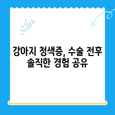 양천구 강아지 청색증 수술 후기| 24시 지구촌 동물메디컬센터에서의 경험 | 청색증, 강아지 수술, 동물병원 후기, 24시 동물병원