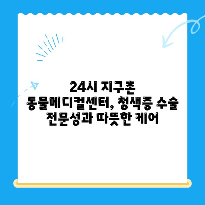 양천구 강아지 청색증 수술 후기| 24시 지구촌 동물메디컬센터에서의 경험 | 청색증, 강아지 수술, 동물병원 후기, 24시 동물병원