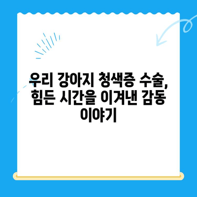 양천구 강아지 청색증 수술 후기| 24시 지구촌 동물메디컬센터에서의 경험 | 청색증, 강아지 수술, 동물병원 후기, 24시 동물병원