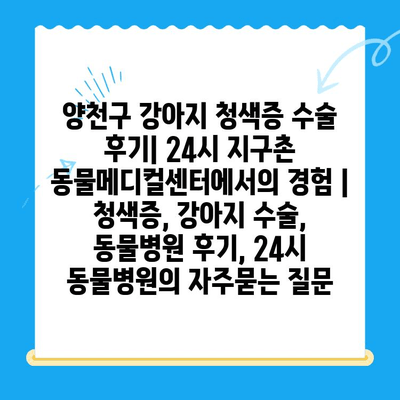 양천구 강아지 청색증 수술 후기| 24시 지구촌 동물메디컬센터에서의 경험 | 청색증, 강아지 수술, 동물병원 후기, 24시 동물병원