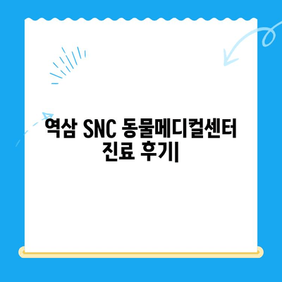 역삼 고양이 병원 SNC 동물메디컬센터 진료 후기| 상세 후기 및 진료 경험 공유 | 고양이 건강, 동물병원 추천, 진료 후기