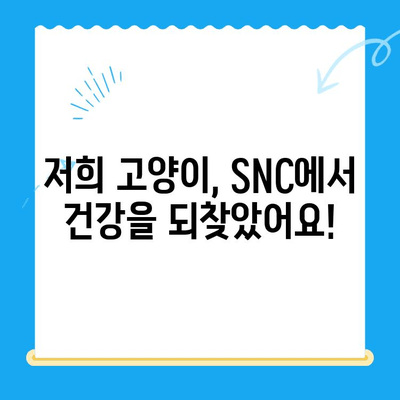 역삼 고양이 병원 SNC 동물메디컬센터 진료 후기| 상세 후기 및 진료 경험 공유 | 고양이 건강, 동물병원 추천, 진료 후기