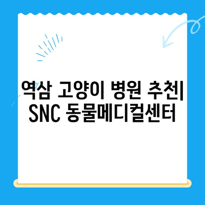 역삼 고양이 병원 SNC 동물메디컬센터 진료 후기| 상세 후기 및 진료 경험 공유 | 고양이 건강, 동물병원 추천, 진료 후기