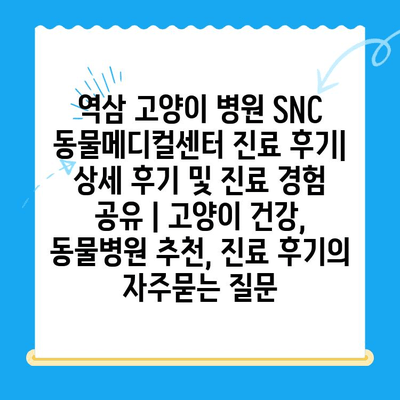 역삼 고양이 병원 SNC 동물메디컬센터 진료 후기| 상세 후기 및 진료 경험 공유 | 고양이 건강, 동물병원 추천, 진료 후기