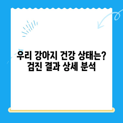 광주 24시 바덴 동물메디컬센터 강아지 건강검진 후기| 솔직한 경험 공유 | 강아지 건강검진, 동물병원 추천, 광주 애견병원