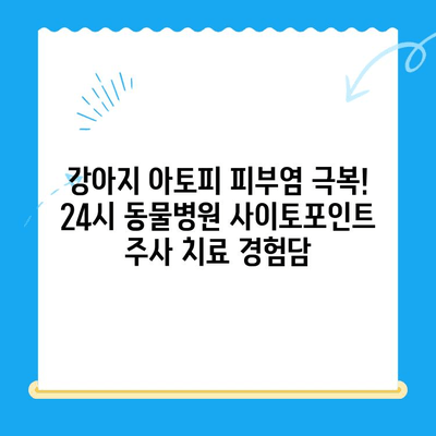 강아지 아토피 피부염 극복! 24시 동물병원 사이토포인트 주사 치료 경험담 | 아토피, 피부염, 강아지, 동물병원, 사이토포인트