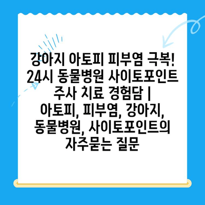 강아지 아토피 피부염 극복! 24시 동물병원 사이토포인트 주사 치료 경험담 | 아토피, 피부염, 강아지, 동물병원, 사이토포인트