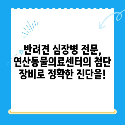 부산 반려견 심장 건강, 연산동물의료센터에서 24시 심장검사 받으세요 | 부산 심장동물병원, 반려견 심장병, 24시 동물병원