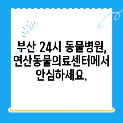 부산 반려견 심장 건강, 연산동물의료센터에서 24시 심장검사 받으세요 | 부산 심장동물병원, 반려견 심장병, 24시 동물병원